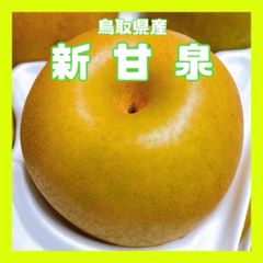 【鳥取県産】新甘泉　家庭用　10玉 12玉 14玉 5kg 糖度13~14