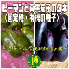 ピーマン（固定種）と真黒茄子（固定種）のタネ　各30粒　無農薬無科学肥料栽培の種子