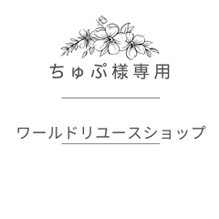 ちゅぷ様専用ページ　枕（ピロー）トライアル品（中古）2点セット購入