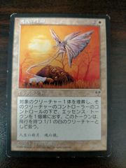 旋風のごとき否定 ストリクスヘイヴン：魔法学院 日本語 - メルカリ