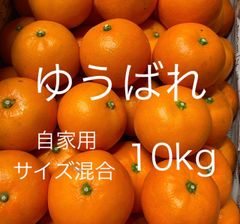 【完売御礼！】熊本県産みかん　ゆうばれ(熊本EC12) 10kg 自家用のサムネイル