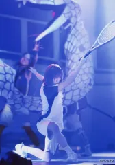 【中古】生写真(男性) 橋本勇大(不二周助)/ライブフォト・キャラクターショット/「ミュージカル『テニスの王子様』4thシーズン 全国大会 青学vs比嘉」オリジナルランダムステージブロマイド