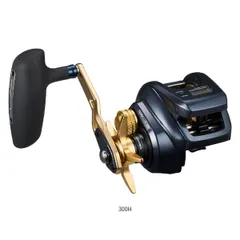 美品　ダイワ　21 ティエラ　IC 100HL DAIWA（釣り） ダイワ ティエラ AIR IC 100XHL : つり具の銭屋