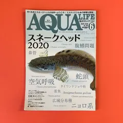 アクアライフ　まとめ売り cover-al24-06-212x300.jpg