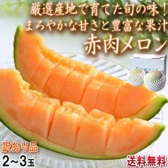 赤肉メロン クインシーメロン中心 2～3玉 訳あり品 茨城産・熊本産中心 まろやかな味と甘さ！全国より旬の産地と品種を厳選