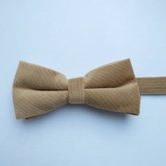 12.蝶ネクタイ　イエローグリーン　結婚式　タキシード
