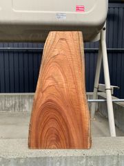 センダン 栴檀 一枚板 54cm 板材 木材 [597]