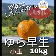 専用　”尾崎園”　和歌山県のみかん農家様 尾崎園