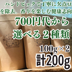 700円代商品から選べる２種類 新鮮厳選 炭火自家焙煎コーヒー豆 100g×2袋 可愛い猫柄 ねこのめ珈琲 ハンドピック済 お土産用にもどうぞ