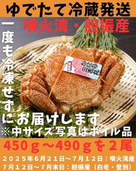 ゆでたて冷蔵便ボイル毛ガニ　2尾　450ｇ～490ｇ活時計量　噴火湾　胆振