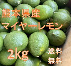 減農薬 熊本県産 マイヤーレモン 2㎏ 送料無料