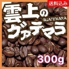 雲上のグァテマラ／300g【送料込み】（ネコポス配送）　炭火焙煎　コーヒー　南蛮屋