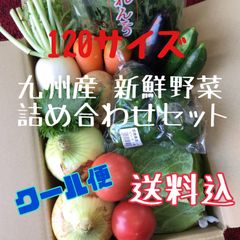 すしゅた様専用、淡路島産野菜セット 100～120サイズ - メルカリ