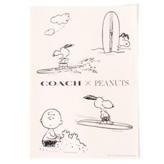コーチ ステッカー スヌーピー COACH ピーナッツ コラボ チャーリーブラウン ロゴ シール マルチ 20250602A