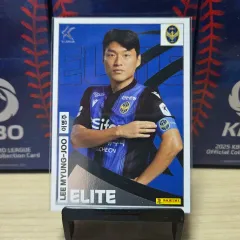★激レア★ PUMA プーマ 仁川ユナイテッド 韓国 Kリーグ ユニフォーム PUMA プーマ KIDSUPER x パルメイラス GKユニフォーム 半袖