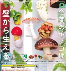 きのこの山　マグネット　 4個入り 菌類の商品一覧 – ネイチャーテクニカラー公式