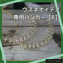 【スパニッシュモス専用フックB】 チランジア　ウスネオイデス エアプランツ ハンガー