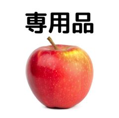 専用品