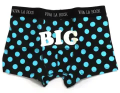 【中古】衣類 BIG VIVAパンツ(メンズ) ブルー 「VIVA LA ROCK 2015」