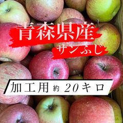 青森県産りんご　サンふじ　加工用　約20キロ