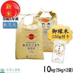 新米 令和5年産 米 お米 米10kg （5kg×2袋） 無洗米 あきたこまち 秋田県産 御縁米（縁結び）150gプレゼント付き