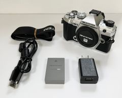 動作確認済】FUJIFILM XT100レンズ バッテリー充電器 ポーチセット 