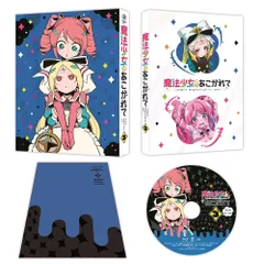 魔法少女にあこがれて　cafe MENU 購入特典シークレット　トレカ　4枚 魔法少女にあこがれて cafe MENU 購入特典シークレット トレカ 4