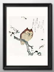 北田 和広 フクロウ 絵画 セール中の割引商品 hipomoto.com