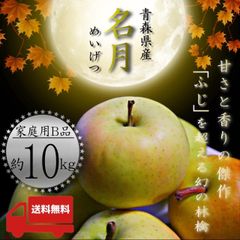 青森県産 ＂ ぐんま名月 (名月) ＂ りんご【ご家庭用B品10kg】【送料無料】【産地直送】リンゴ 林檎