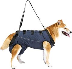 Item thumbnail for item 74611eee-4ed7-43cb-9bbc-0e640726d084