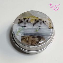 【アルミケース】【おまけ付き】写真入りレジンアルミケース  ハンドメイド ハムスターといっしょ だいきち&モンきち 「ブロッコリーの葉」バージョン