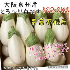 採れたて白ナス【7〜11個】ステーキが美味！レンチンポン酢もね