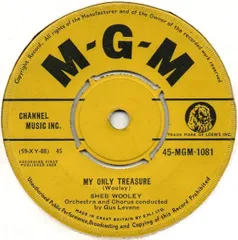 英7” Sheb Wooley My Only Treasure 45MGM1081 MGM Records /00080