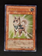 柴戦士タロ　ウルトラ