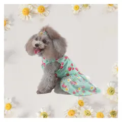 新品 [Mofu＆Co.東京本店] 犬 服 春夏 ワンピース ドレス 小型犬 中型犬 伸縮性あり 接触冷感 dog clothes ブランド 2025 (S～L) (ストロベリーミント S)