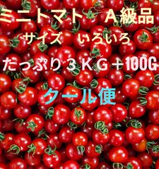 ミニトマト　Ａ級品　3kg＋100g　クール便
