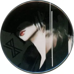 【中古】バッジ・ピンズ luz 缶バッジ 「XYZ TOUR 2017 -SUMMER-」 缶バッジくじ景品