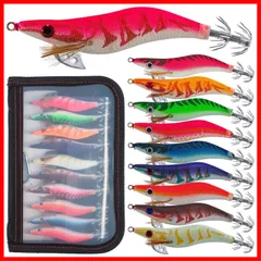 2025年最新】エギ 限定の人気アイテム - メルカリ