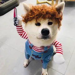 ペット 服 ハロウィン ドッグウェア サンタクロース 犬服 コスプレ 衣装変身着