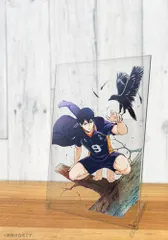 【新品・公式】ハイキュー!! 影山飛雄 アクリルアートスタンド Ver.1.0 公式グッズ colleize コレイズ