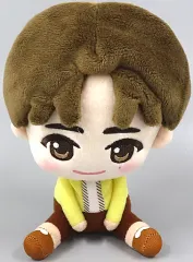 SEVENTEEN ドギョム　ぬいぐるみ　ドギョム　23cm 2025年最新】ドギョム ぬいぐるみの人気アイテム - メルカリ