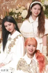 【中古】シール・ステッカー AYAKA＆MAYUKA＆RIMA オリジナルステッカー 「『NiziU Live with U 2022 ”Burn it Up”』開催記念 オンラインくじ」 E賞景品