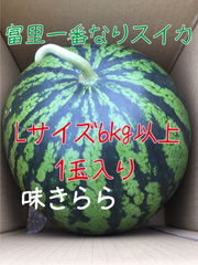 富里1番なりスイカ味きららLサイズ1玉入り