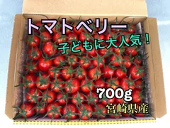 2023年最新】とまとの人気アイテム - メルカリ