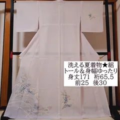 2025年最新】絽 訪問着 トールの人気アイテム - メルカリ