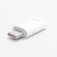 【在庫処分】Lightning to Type-C 変換アダプタ ライトニング から USB C に変換できるアダプタ 高速充電 USB-C Android iPhone15 急速充電 データ転送 iPad type c USB C タイプC イヤホン・アクセ