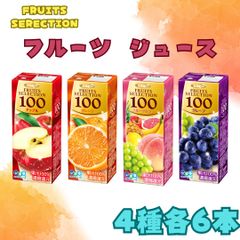 FRUITS SELECTION ジュース 4種 各6本セット 計24本 詰め合わせ 飲み比べ ギフトにも
