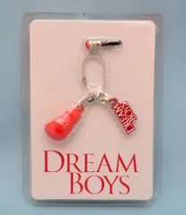 Kis-My-Ft2/Sexy Zone/中山優馬 15年 DREAM BOYS イヤホンジャック
