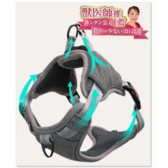 Item thumbnail for item 12aaa6c1-cbbe-4f8e-9836-eebac6b073ca