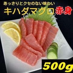 【須崎のマグロ問屋のおすすめ】キハダマグロ赤身 500g （鮪　まぐろ　黄肌鮪　小分けパック）
